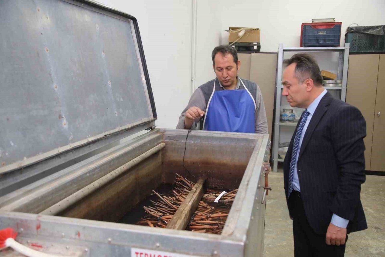 TOGÜ 10 bin adet tüplü aşılı asma fidanı üretecek