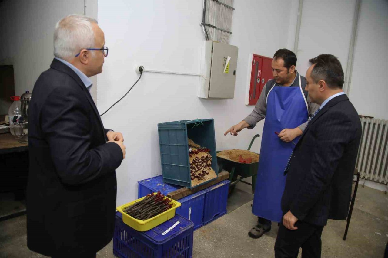 TOGÜ 10 bin adet tüplü aşılı asma fidanı üretecek