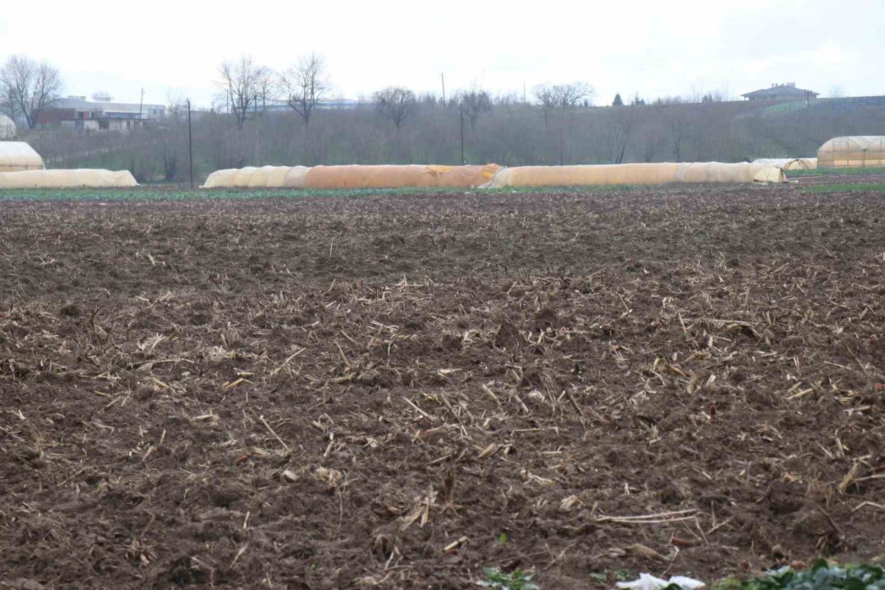 Kuraklığın tarıma etkisi