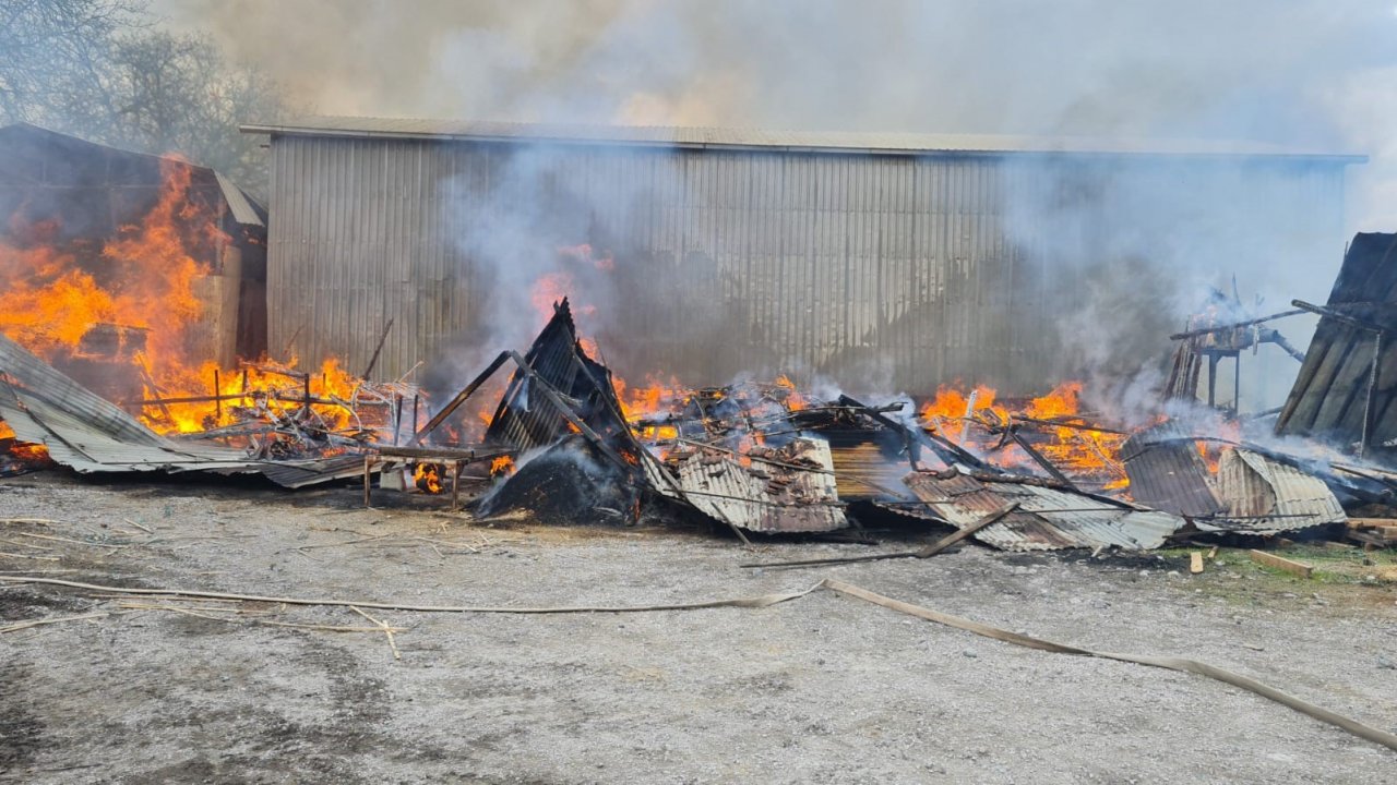 Balıkesir’de kereste fabrikasında yangın