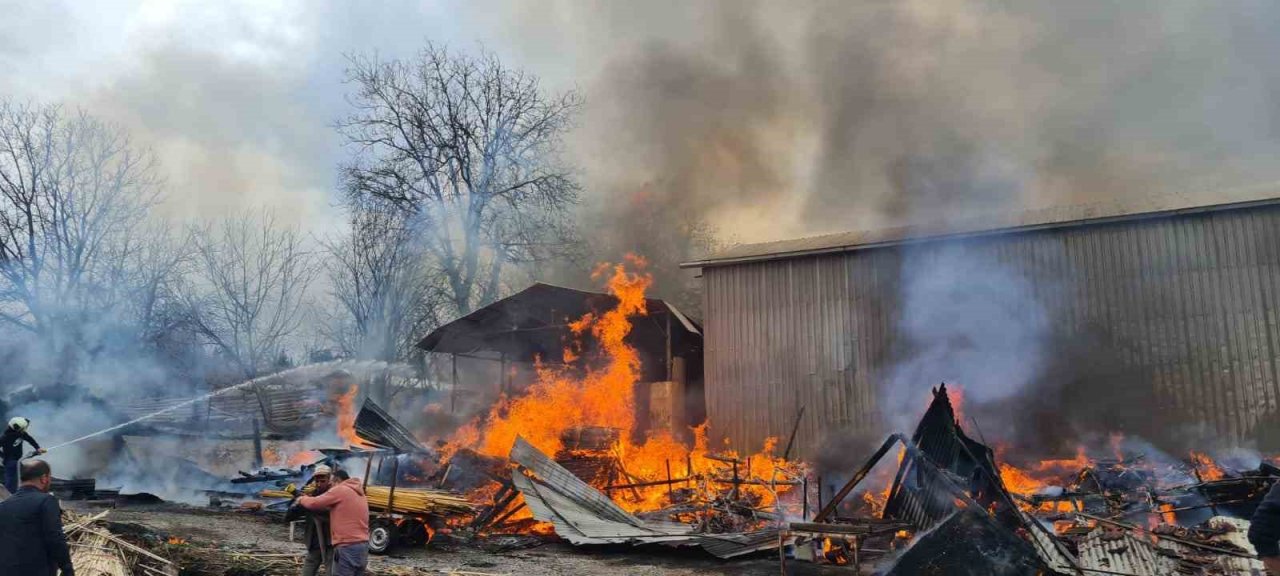 Balıkesir’de kereste fabrikasında yangın