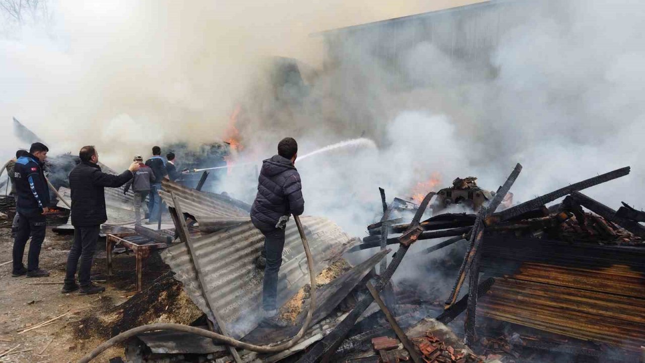 Balıkesir’de kereste fabrikasında yangın