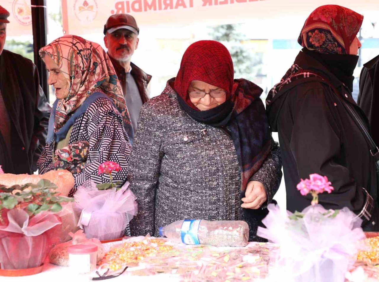 Bolu’da üretilen ata tohumları deprem bölgelerine gönderilecek
