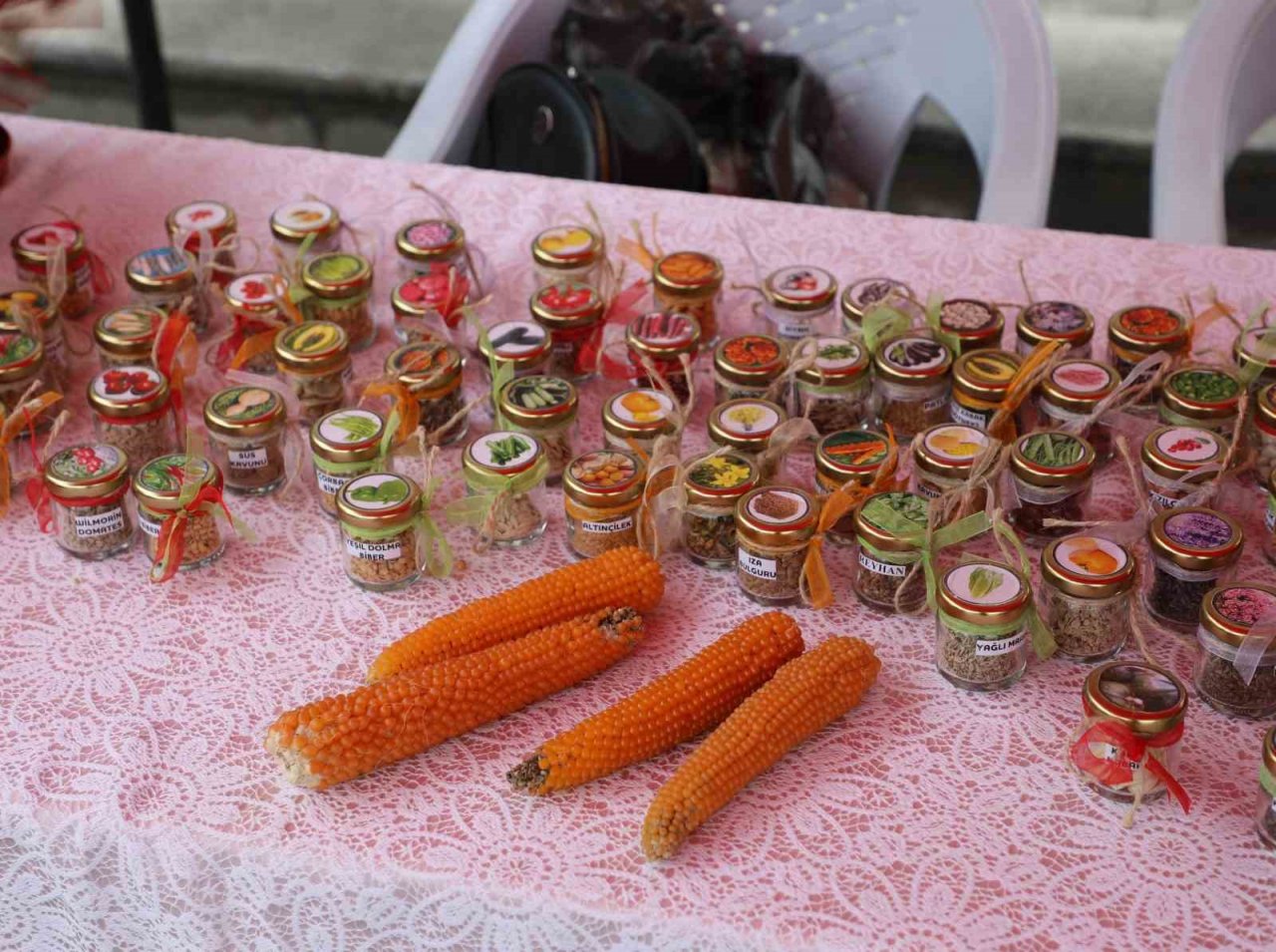 Bolu’da üretilen ata tohumları deprem bölgelerine gönderilecek