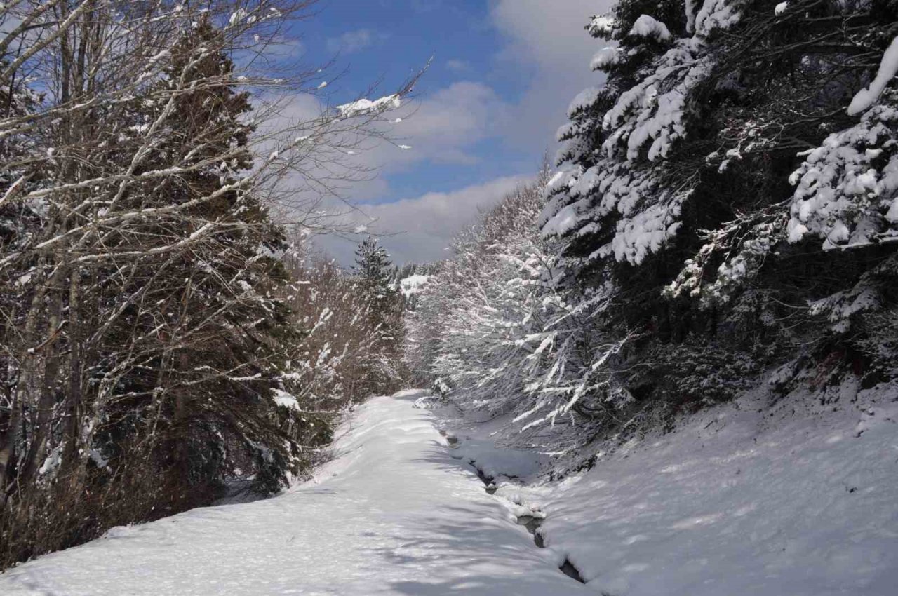 Abant’ta Mart ayında kar sürprizi