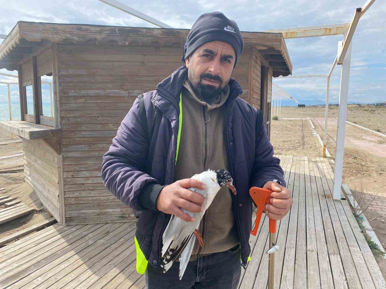 Misina ipine dolanan martıyı temizlik işçisi kurtardı