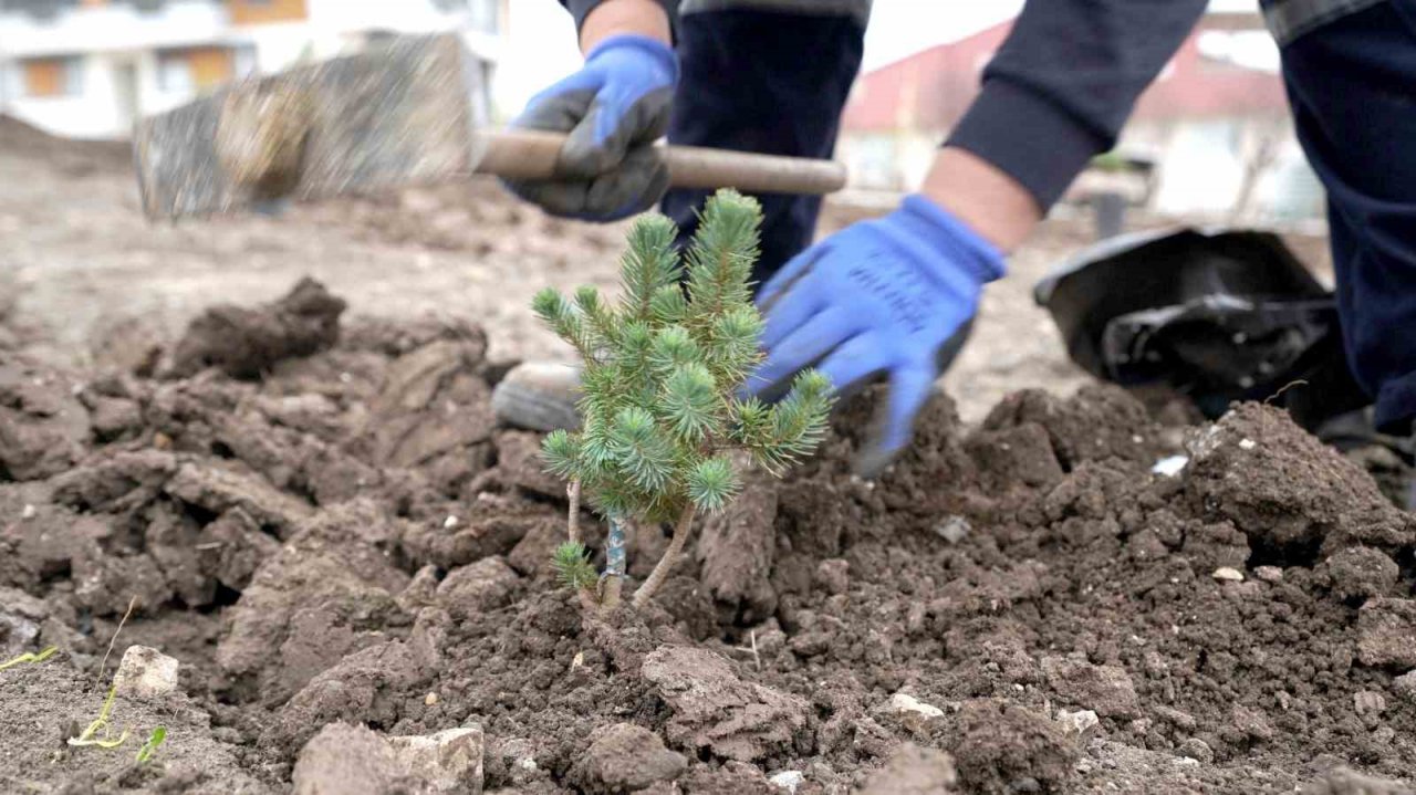 Karesi’de hedef kişi başı 25 metrekare yeşil alan