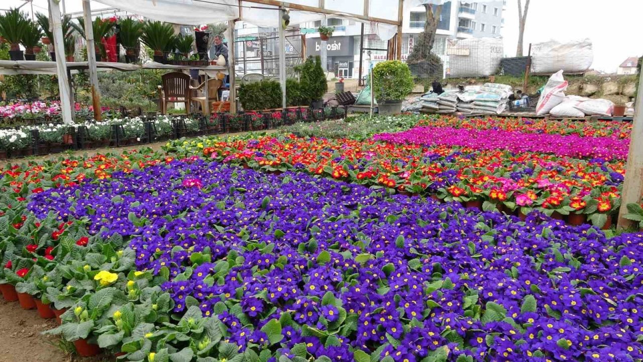 Çiçekler ’Kadınlar Günü’ için hazırlandı