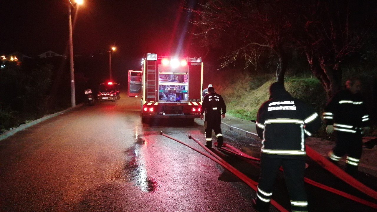 Ormanlık alandaki arı kovanları kül oldu