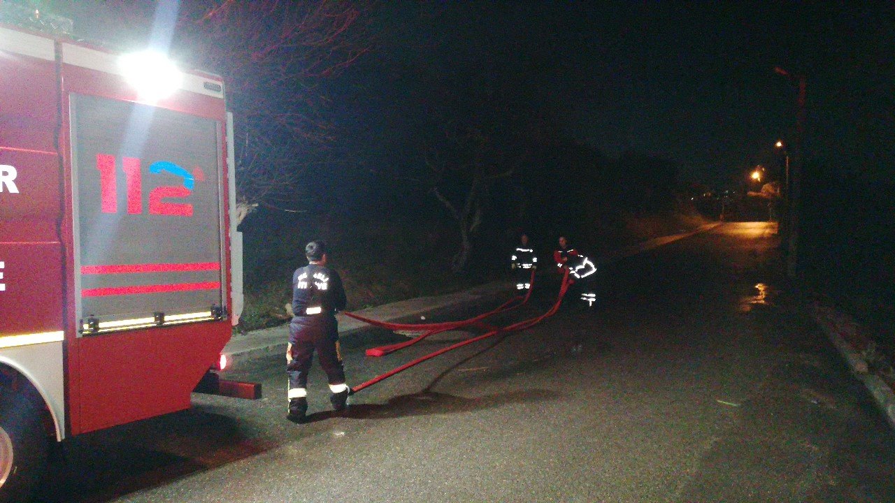 Ormanlık alandaki arı kovanları kül oldu