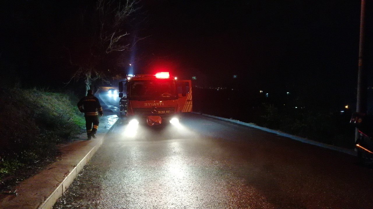 Ormanlık alandaki arı kovanları kül oldu