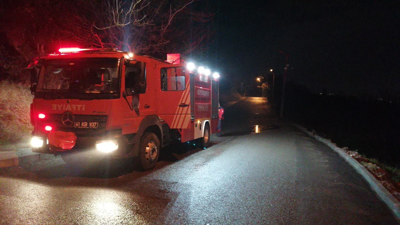 Ormanlık alandaki arı kovanları kül oldu