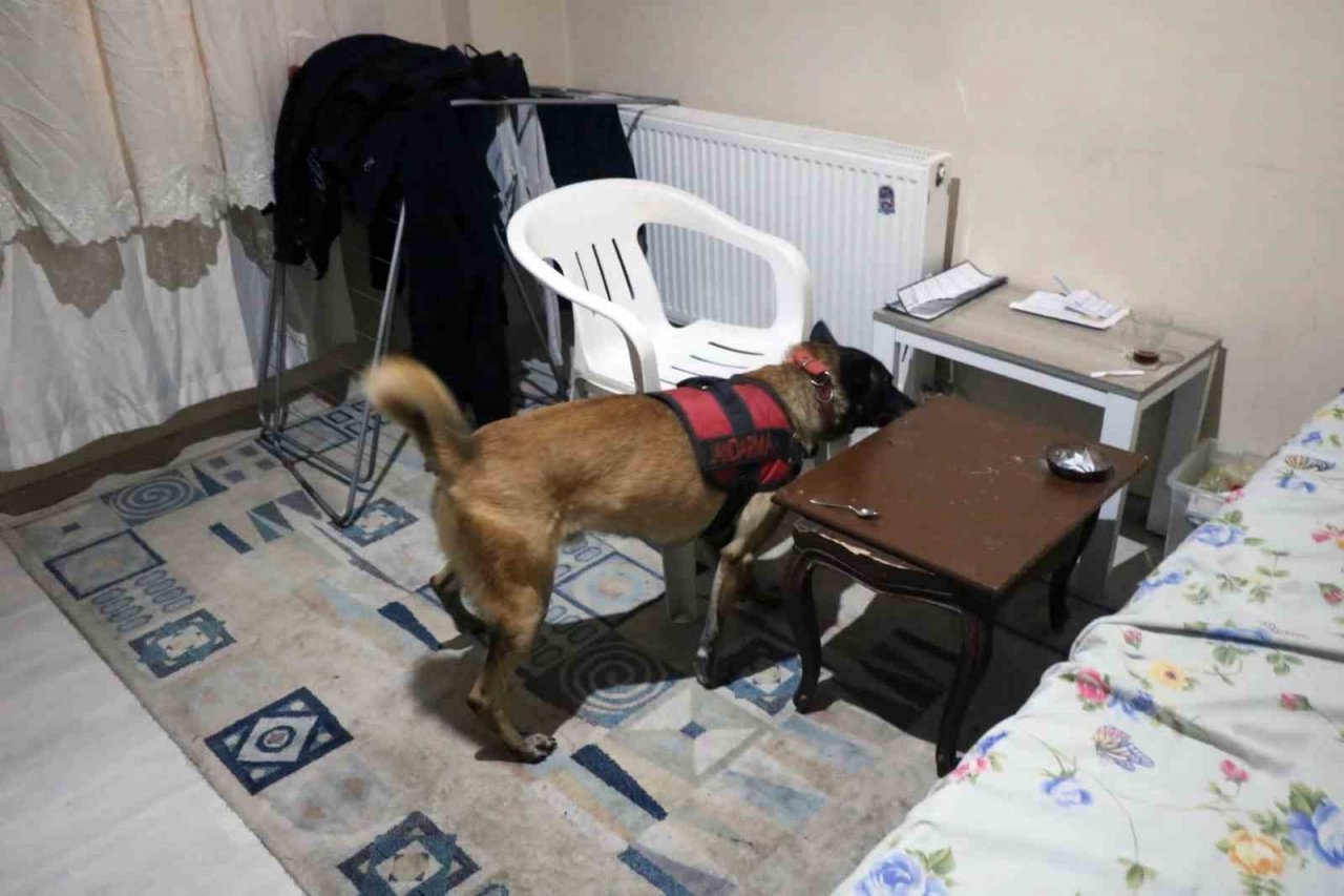 Jandarmadan Milas’ta ‘Suç örgütü’ operasyonu