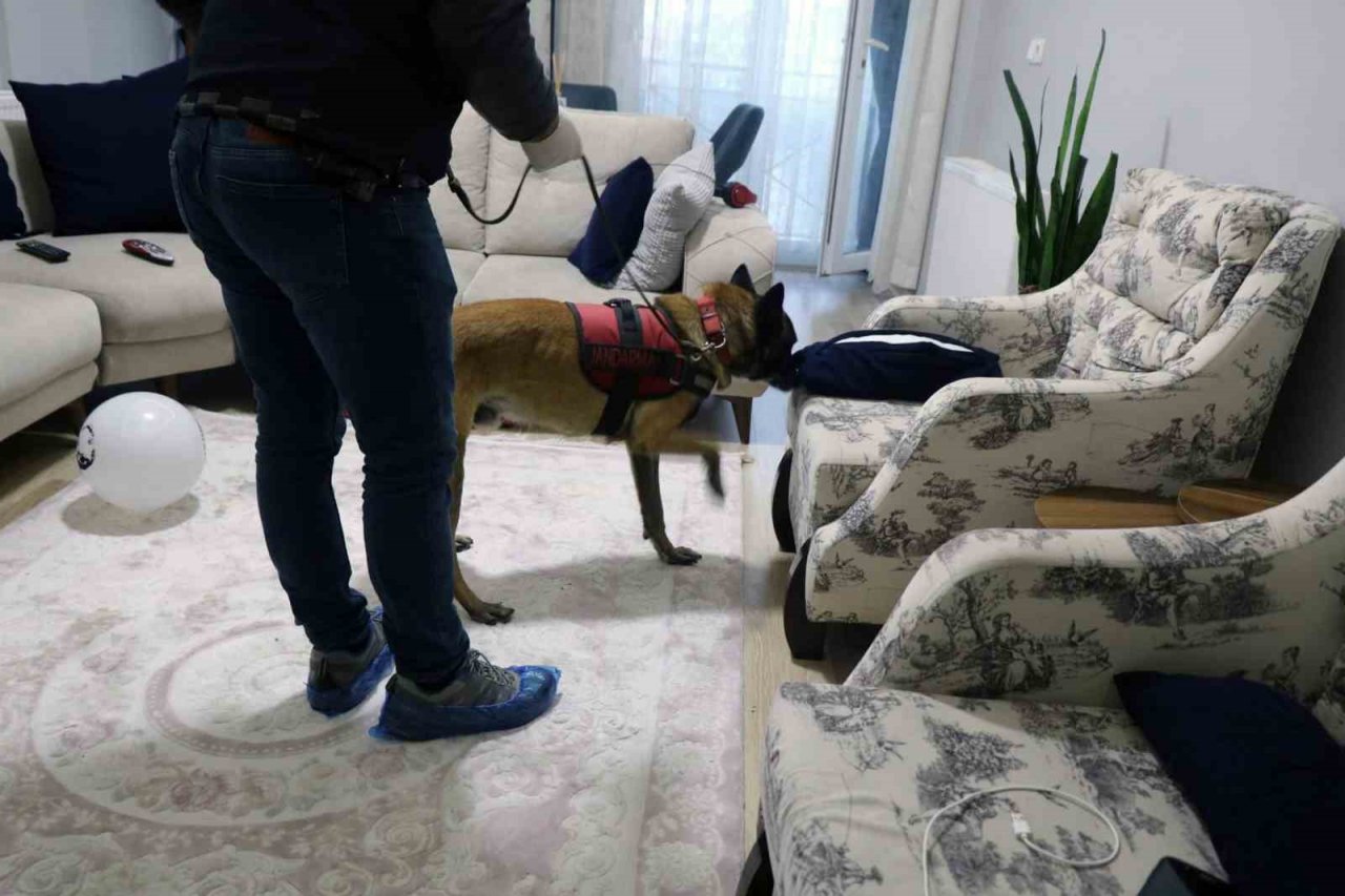 Jandarmadan Milas’ta ‘Suç örgütü’ operasyonu