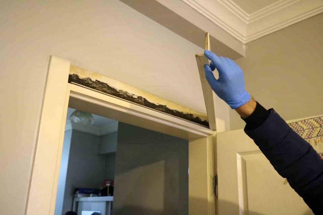 Jandarmadan Milas’ta ‘Suç örgütü’ operasyonu