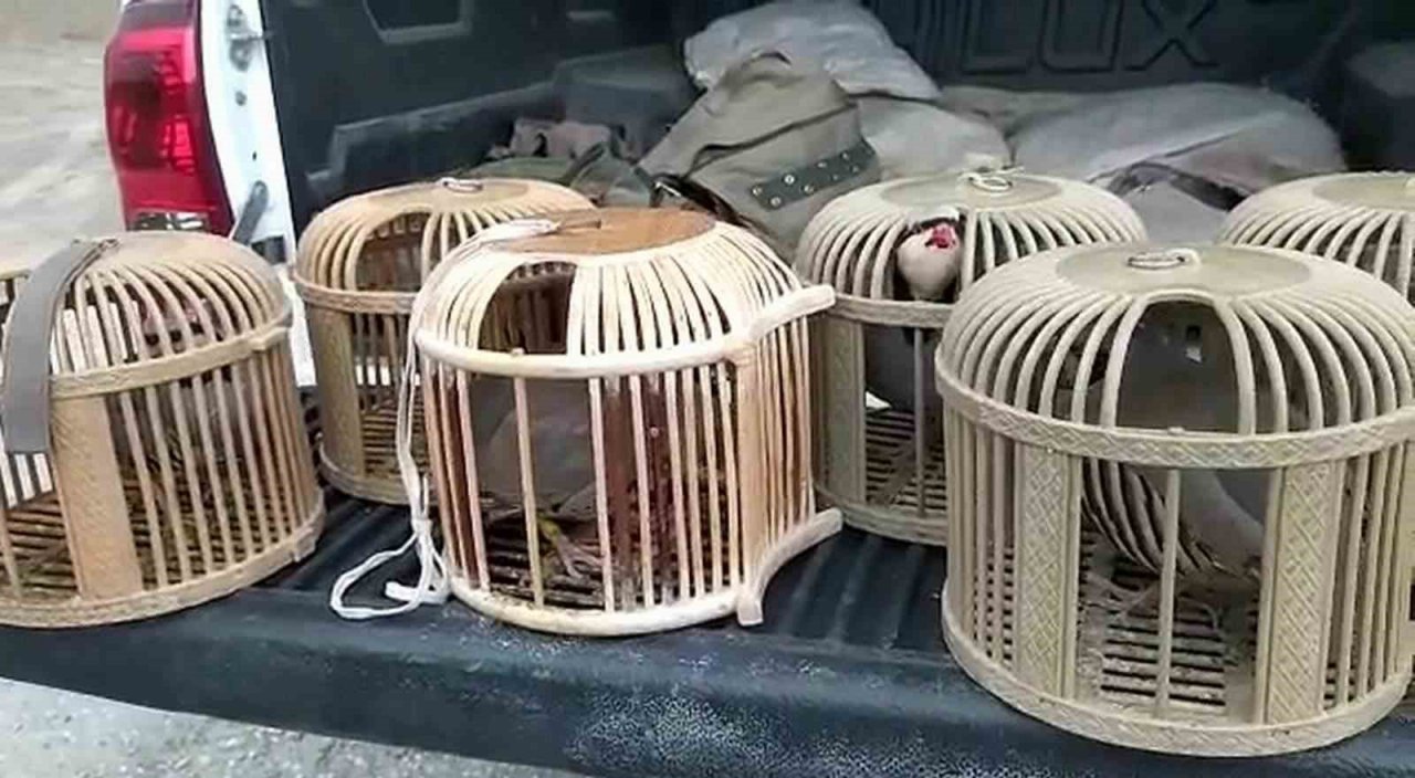 Siirt’te kaçak avcıya para cezası