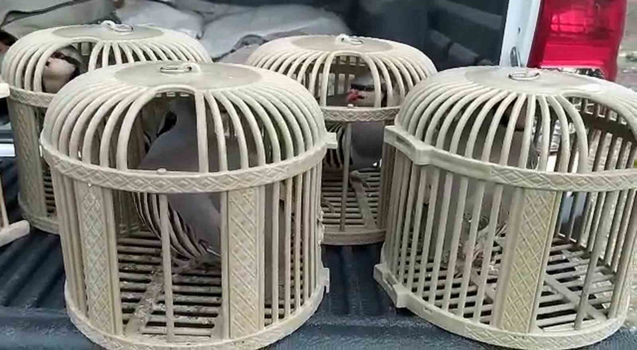 Siirt’te kaçak avcıya para cezası