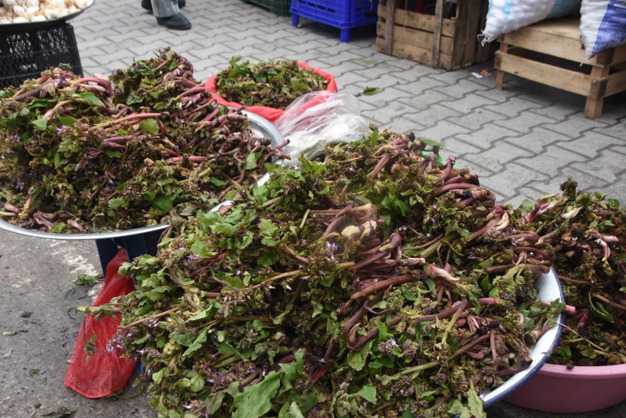 Sinop’ta “zılbıt” zamanı