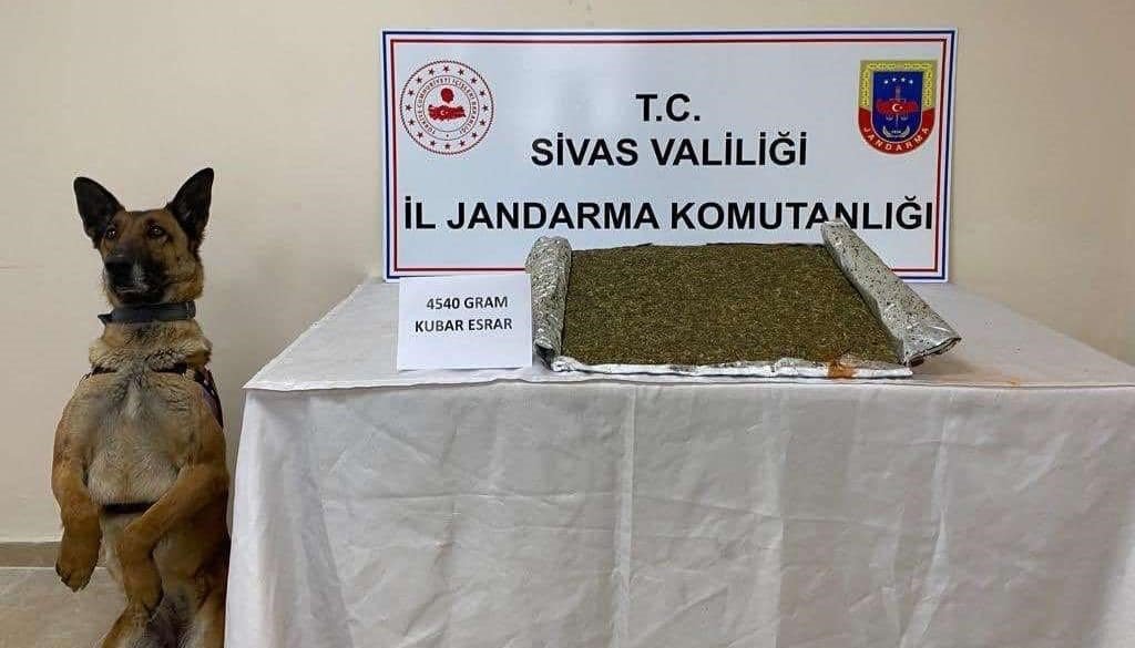 Narkotik köpeği ’Resim’ ile yapılan aramada 4,5 kilo esrar ele geçirildi