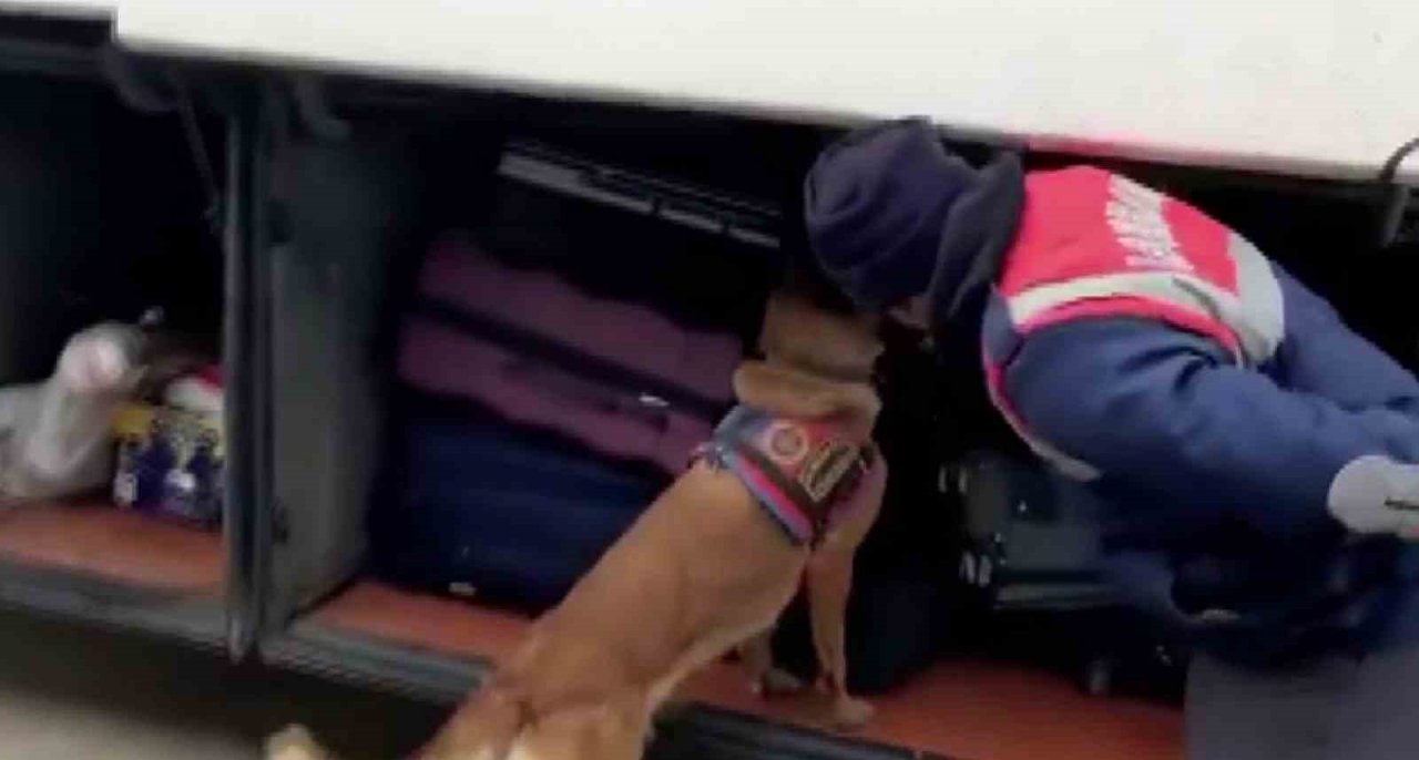 Narkotik köpeği ’Resim’ ile yapılan aramada 4,5 kilo esrar ele geçirildi