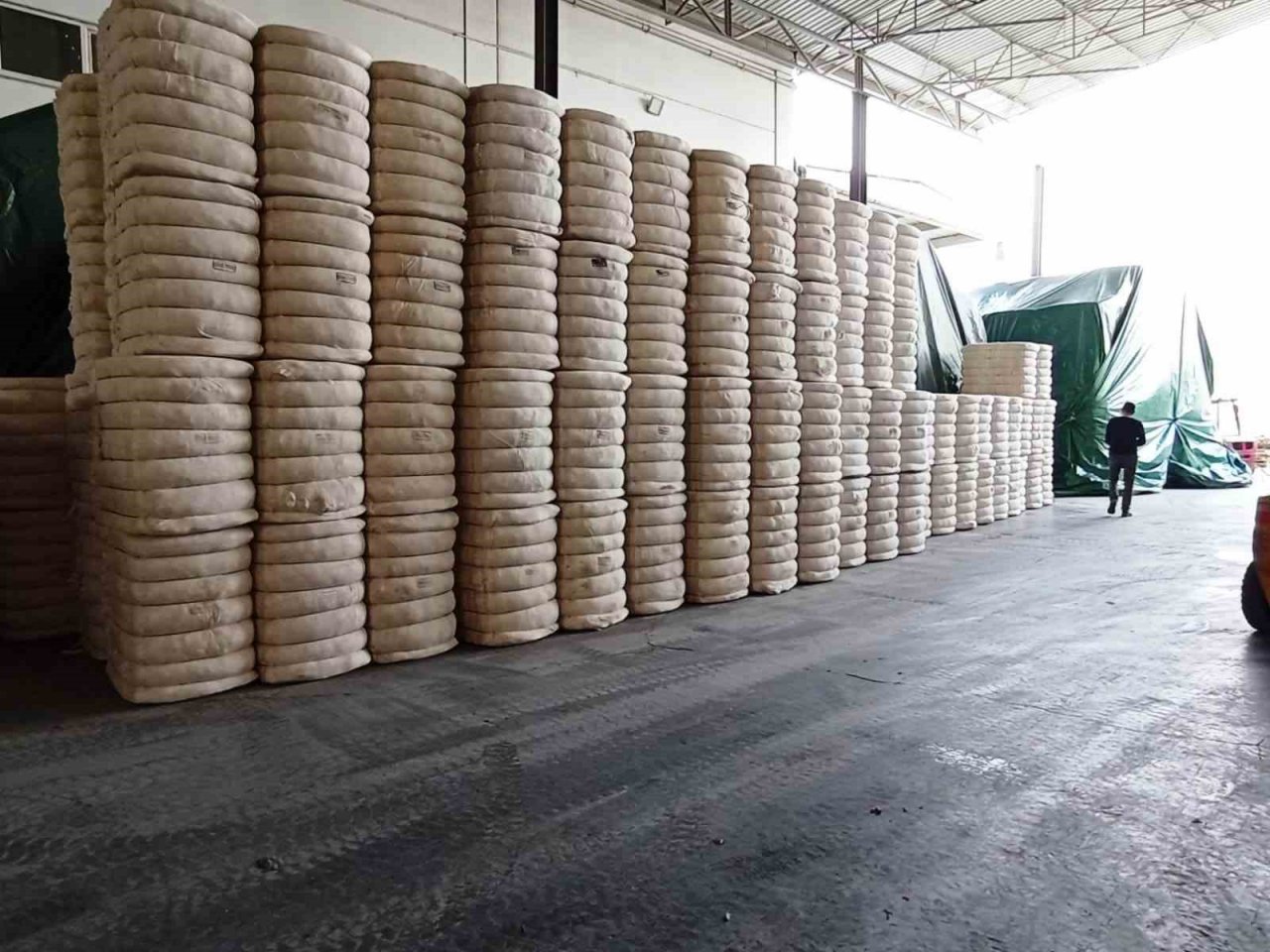 TARİŞ Başkanı Özer’den pamuk üreticilerine uyarı