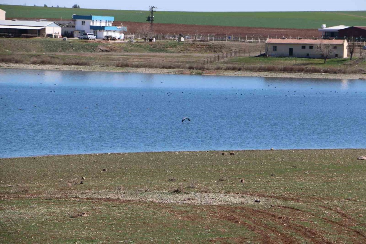 Yer altındaki canlılar depremi öncesinden hissettiği için zararı minimum yaşadı