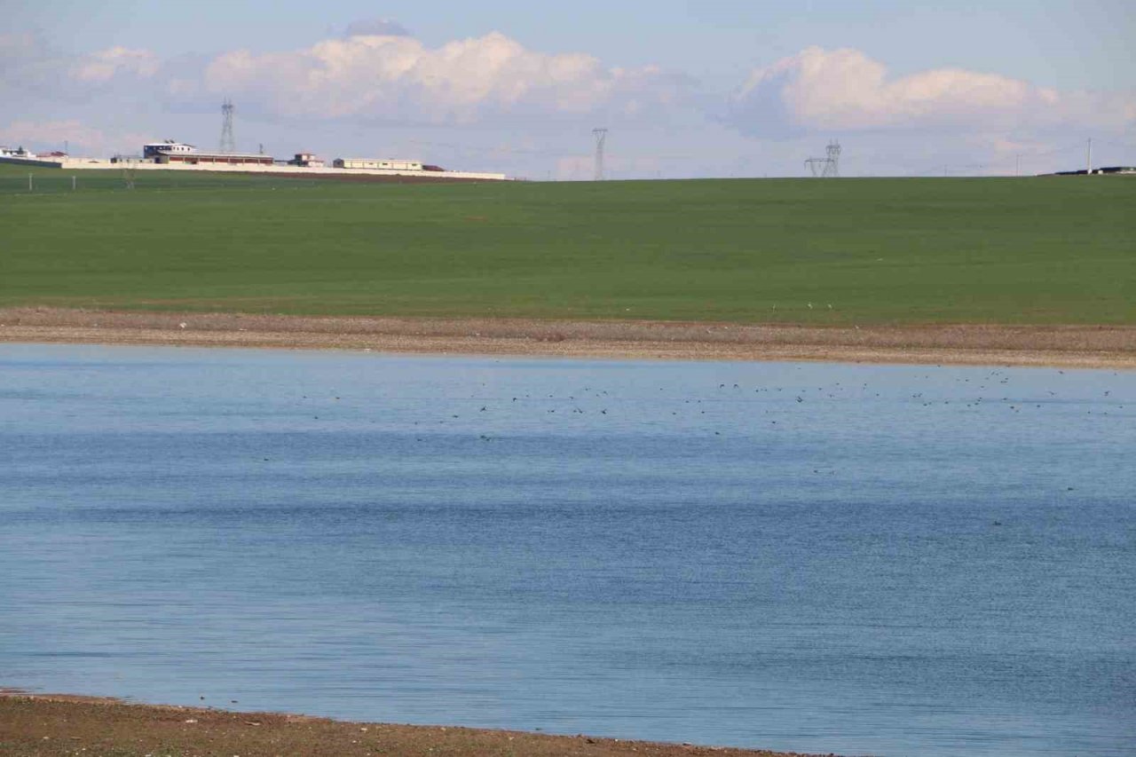 Yer altındaki canlılar depremi öncesinden hissettiği için zararı minimum yaşadı