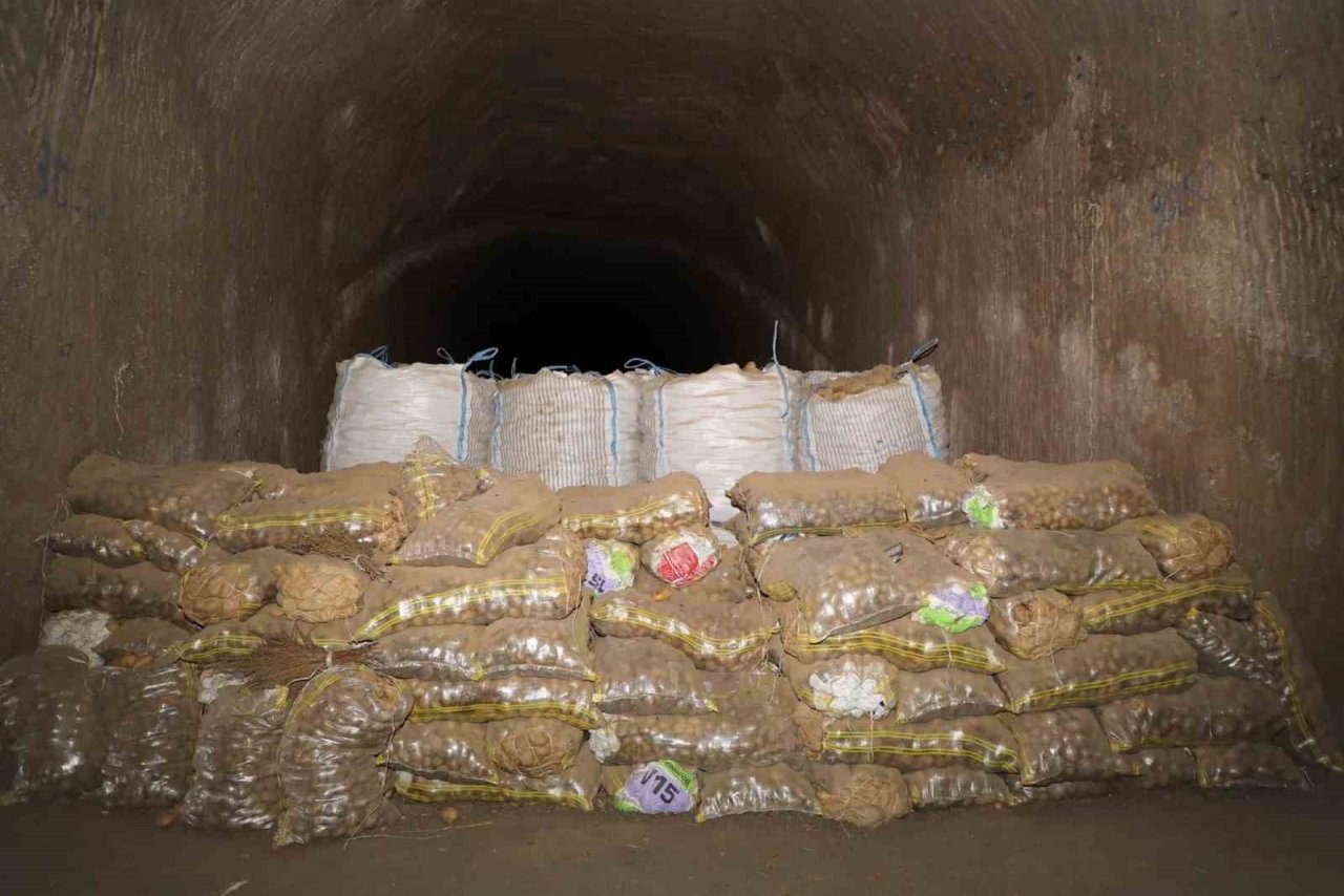 Bu depolarda patates doğal yöntemlerle en az 1 yıl saklanıyor