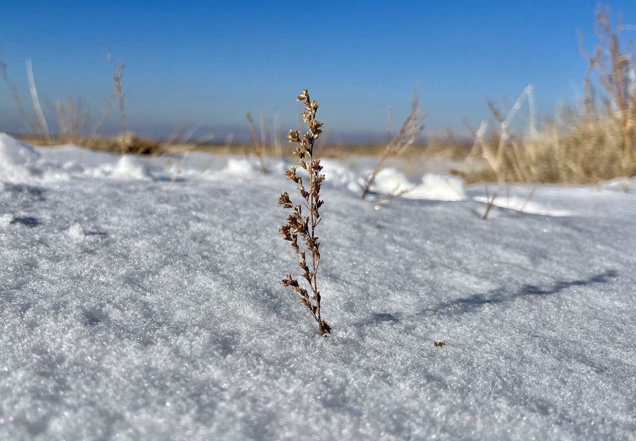 Ağrı’da buzlar erimiyor