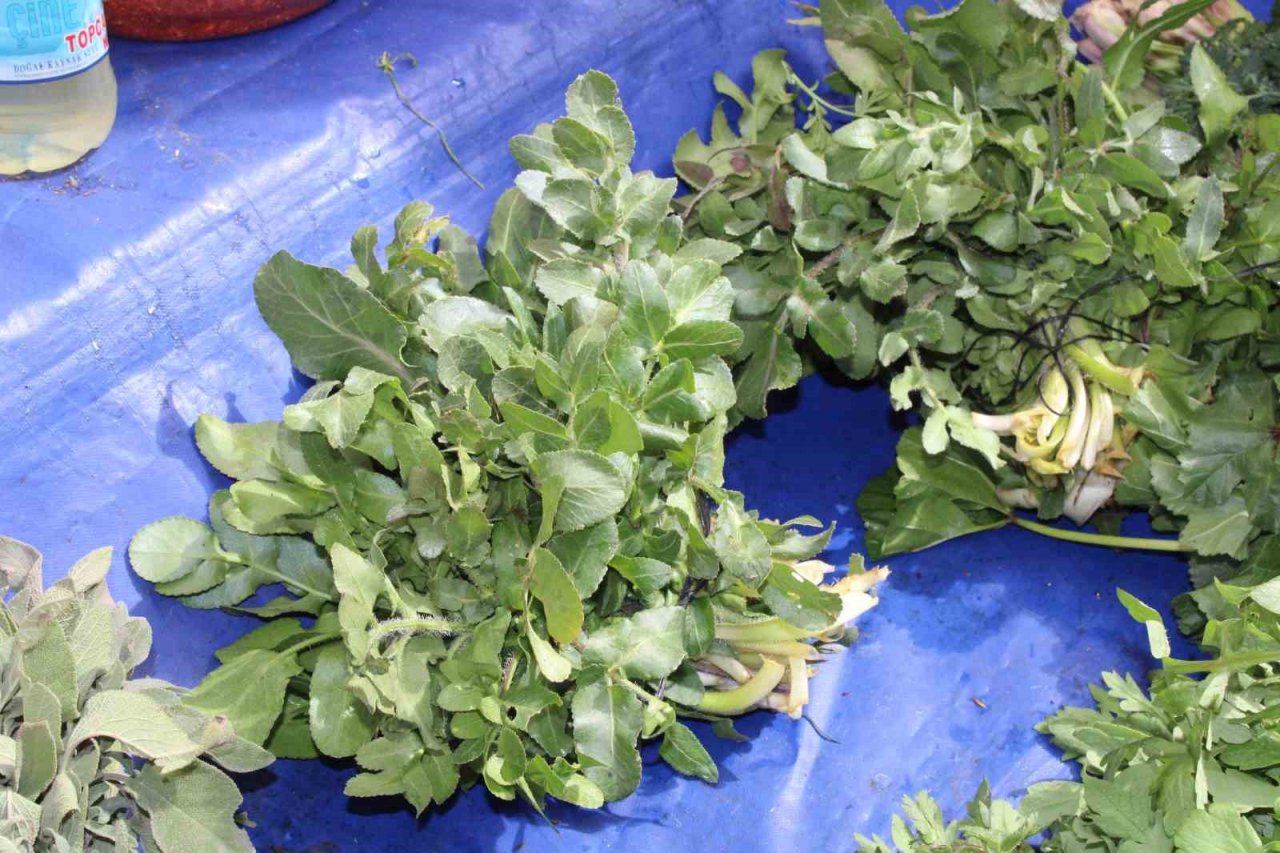 Dağlardan topladığı ot ve bitkileri pazarda satıyor