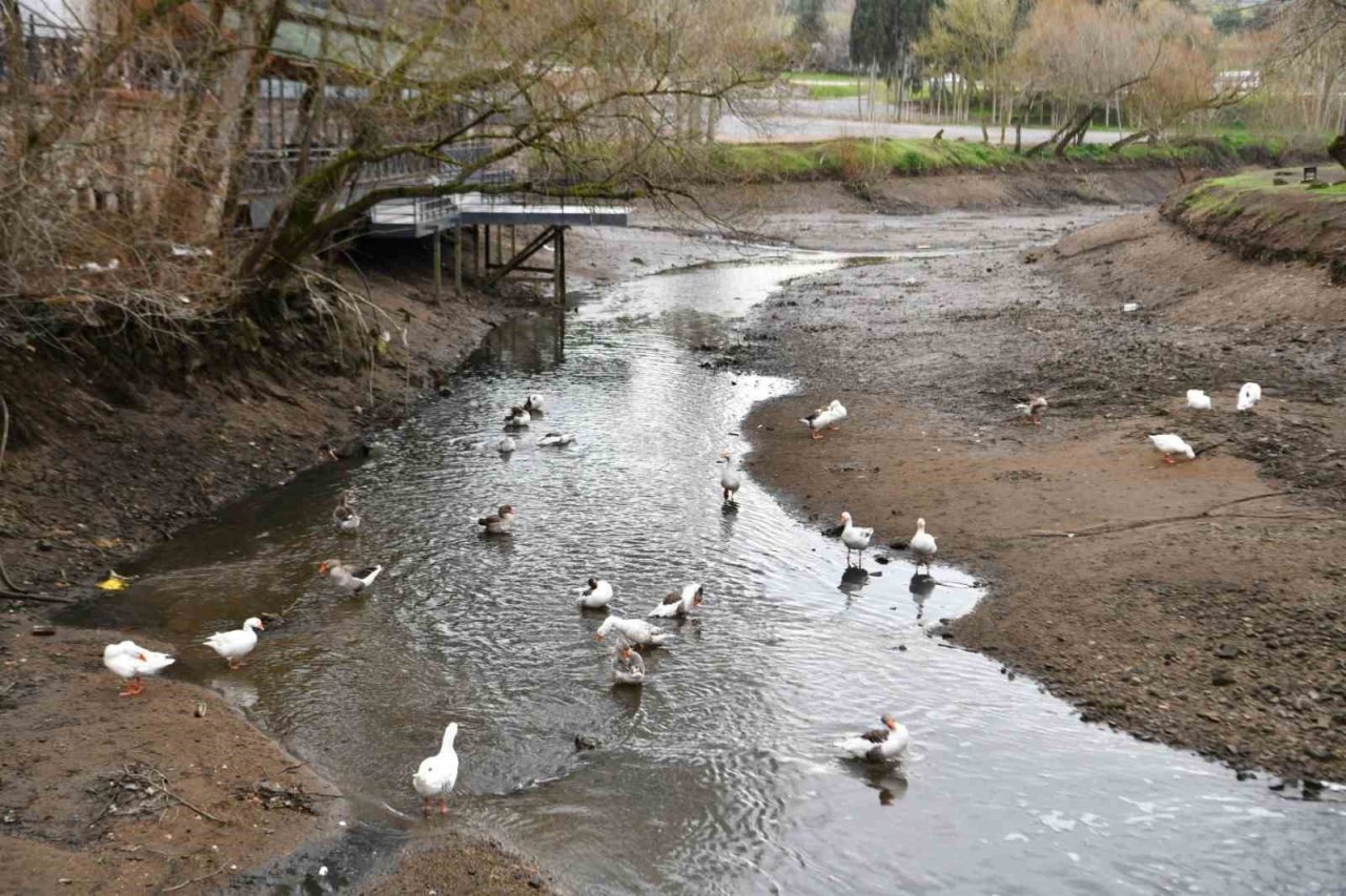 Tabiat parkındaki dere temizlendi