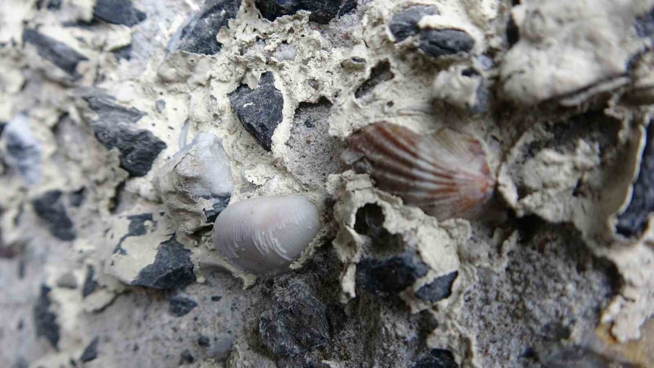 Maltepe’de betonunda midye kabukları ve paslı demirler görünen köprü havadan görüntülendi