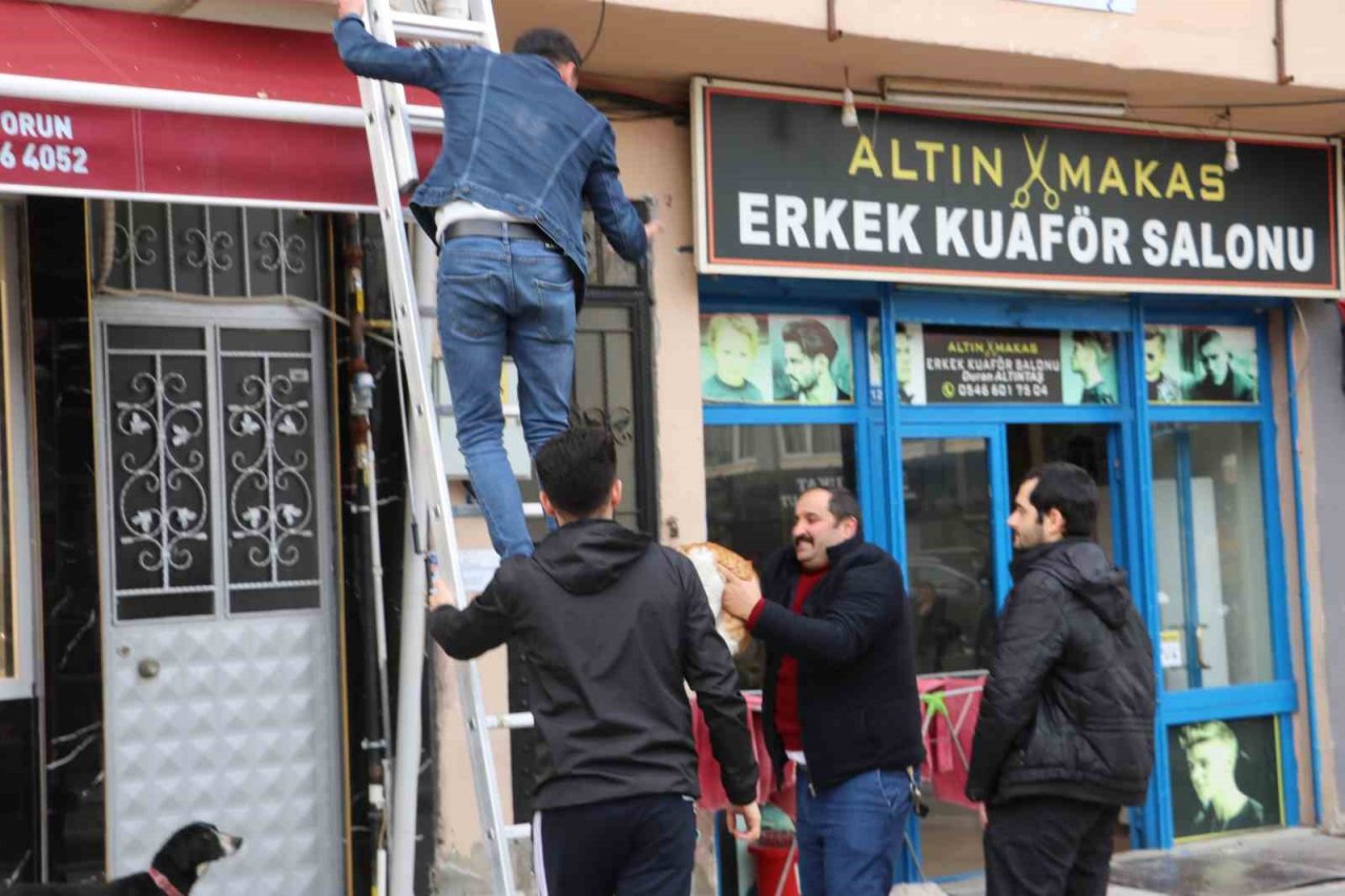 Çatıda mahsur kalan "Arsız” kedi 5 gün sonra kurtarıldı