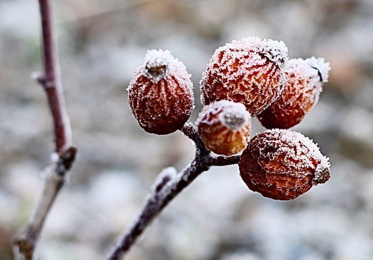 Ağrı’da buzlar erimiyor