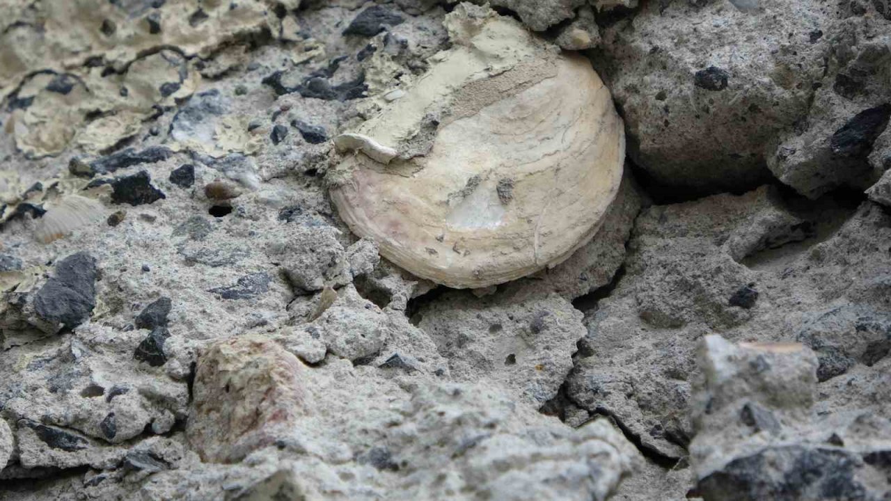 Maltepe’de betonunda midye kabukları ve paslı demirler görünen köprü havadan görüntülendi