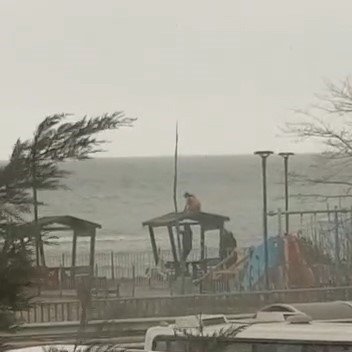 Parktaki çardağa zarar vermeye çalışan gençler cep telefonu kamerasında