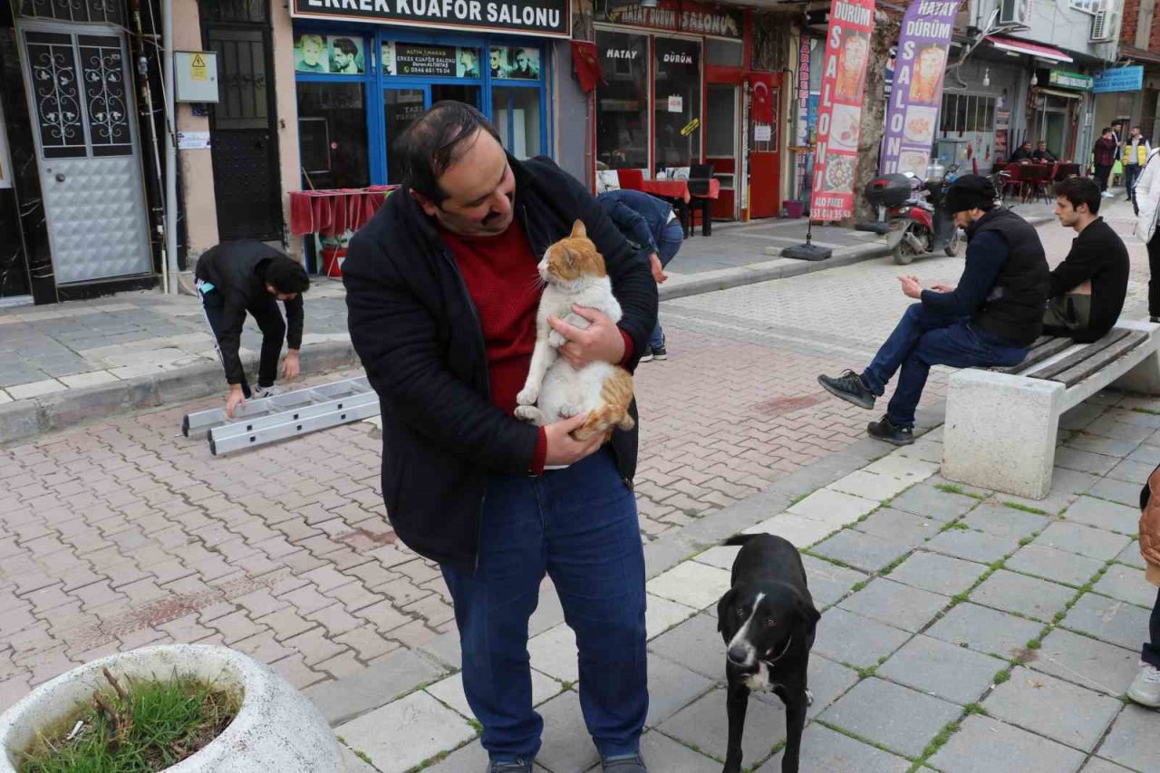 Çatıda mahsur kalan "Arsız” kedi 5 gün sonra kurtarıldı