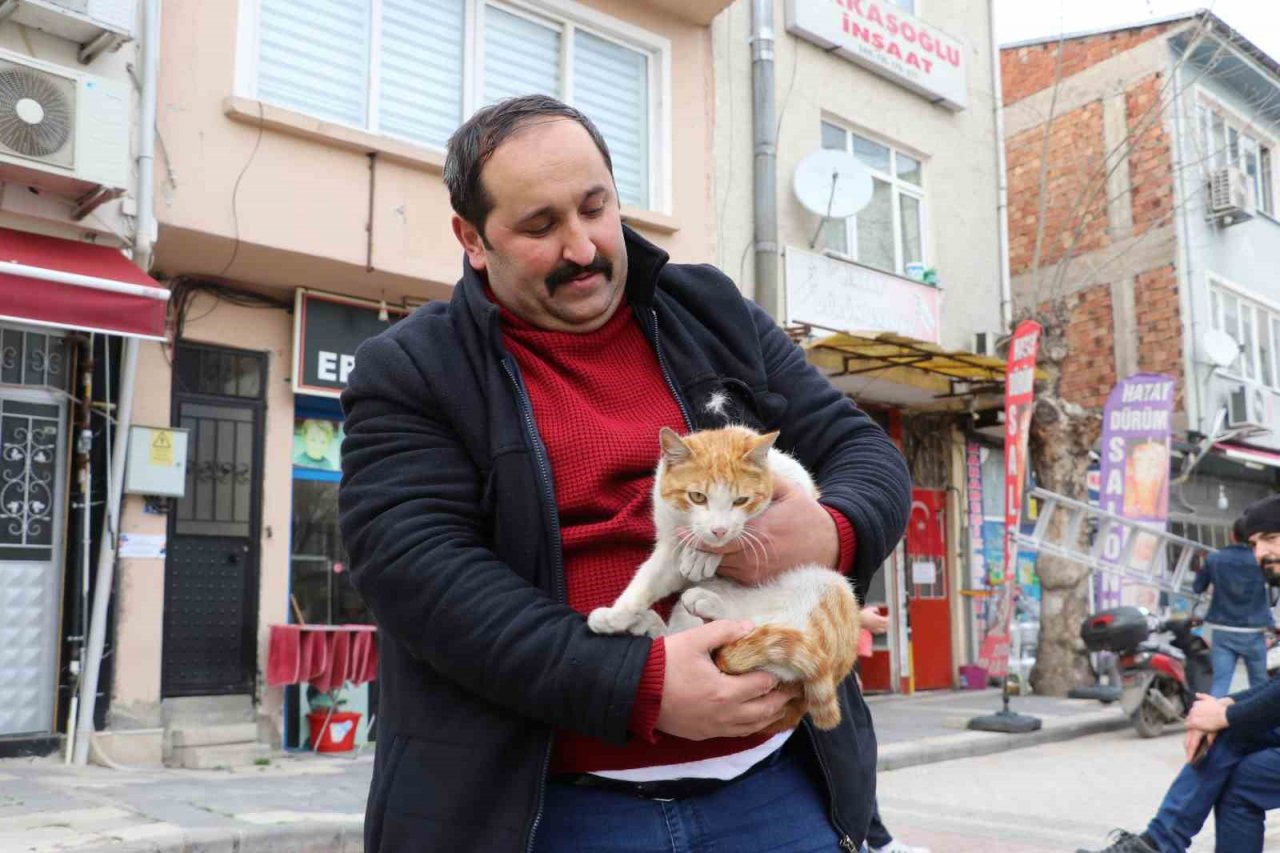 Çatıda mahsur kalan "Arsız” kedi 5 gün sonra kurtarıldı