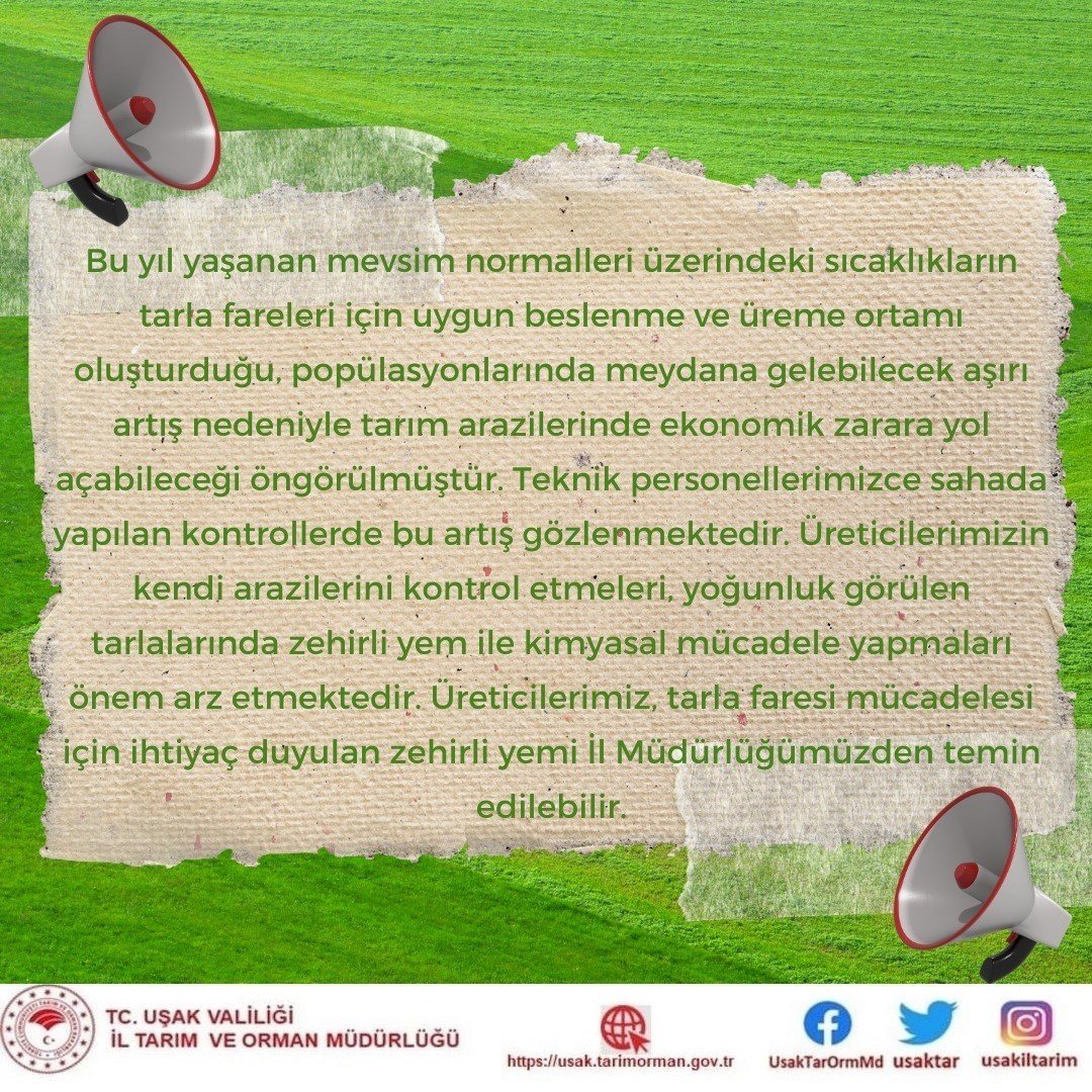 Tarım ve Orman Müdürlüğü uyardı; “Tarla farelerine dikkat”