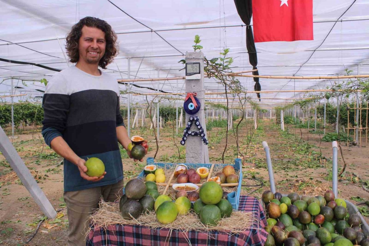 İthal meyveyi İzmir’de üretti, rotayı Avrupa’ya çevirdi