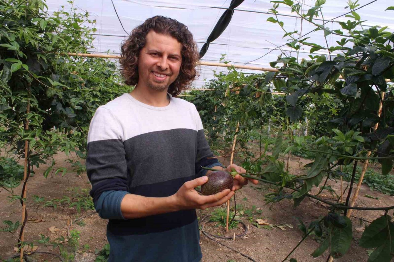 İthal meyveyi İzmir’de üretti, rotayı Avrupa’ya çevirdi