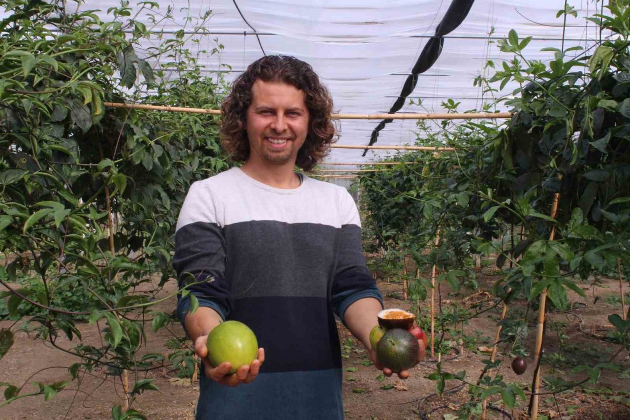 İthal meyveyi İzmir’de üretti, rotayı Avrupa’ya çevirdi