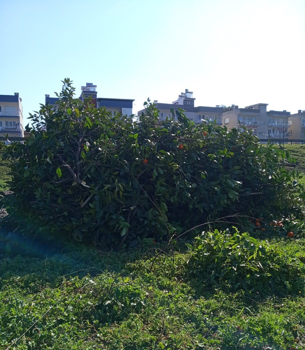 Herkes atık görüyordu, HBX Ar-Ge değerlendirmeye başladı