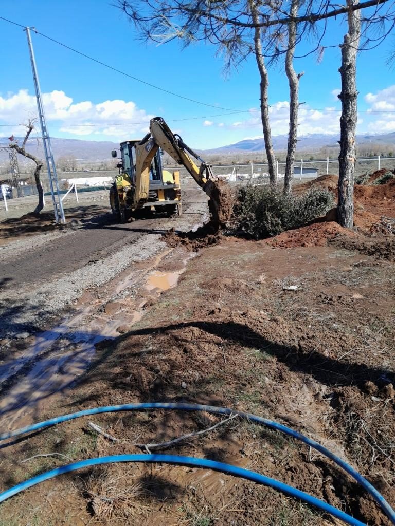 Kent Meydanındaki yarım asırlık çınarlar naklediliyor