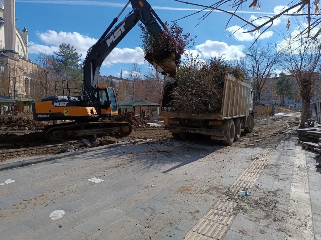Kent Meydanındaki yarım asırlık çınarlar naklediliyor