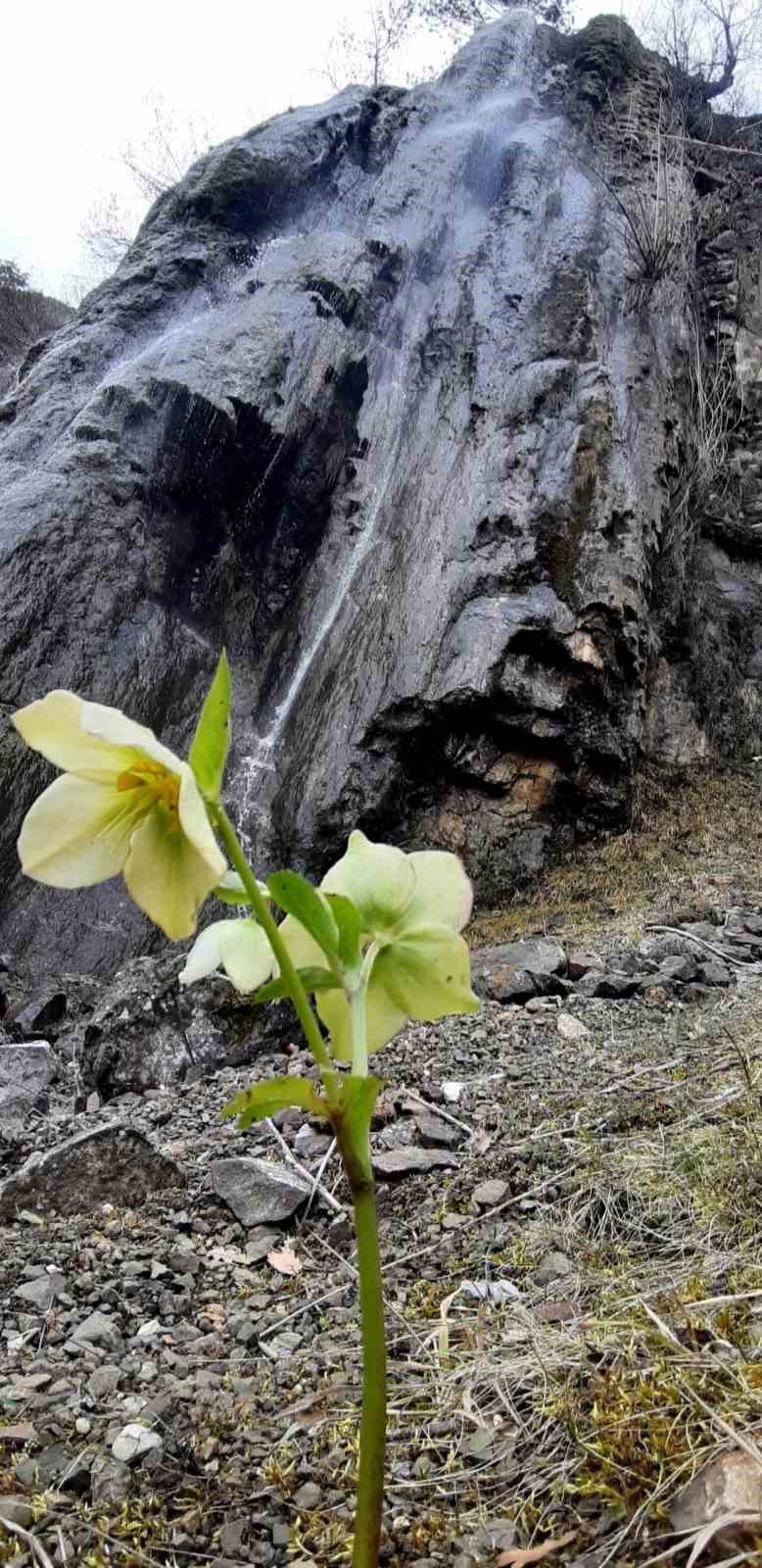 Karların erimesiyle şelale oluştu