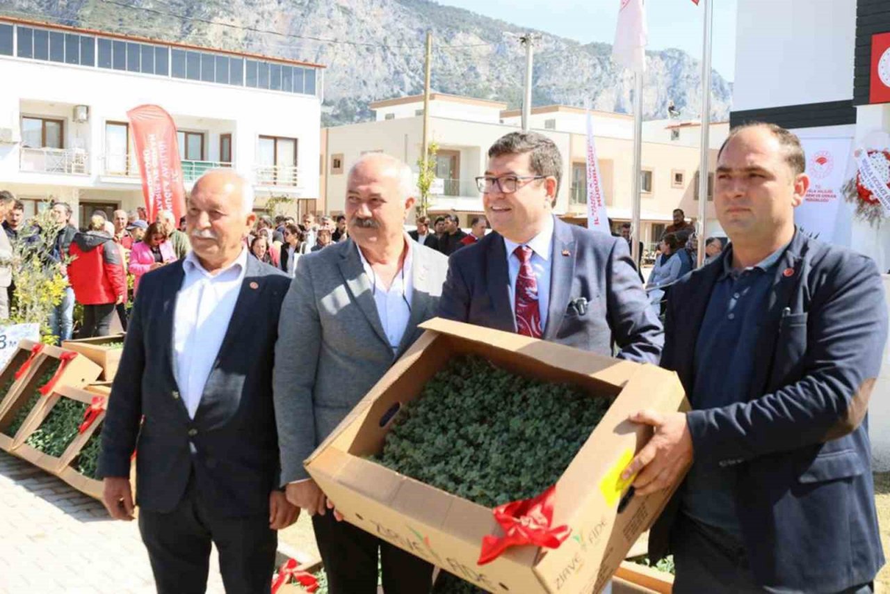 Ören’de üreticilere 100 bin ıtri bitki dağıtıldı