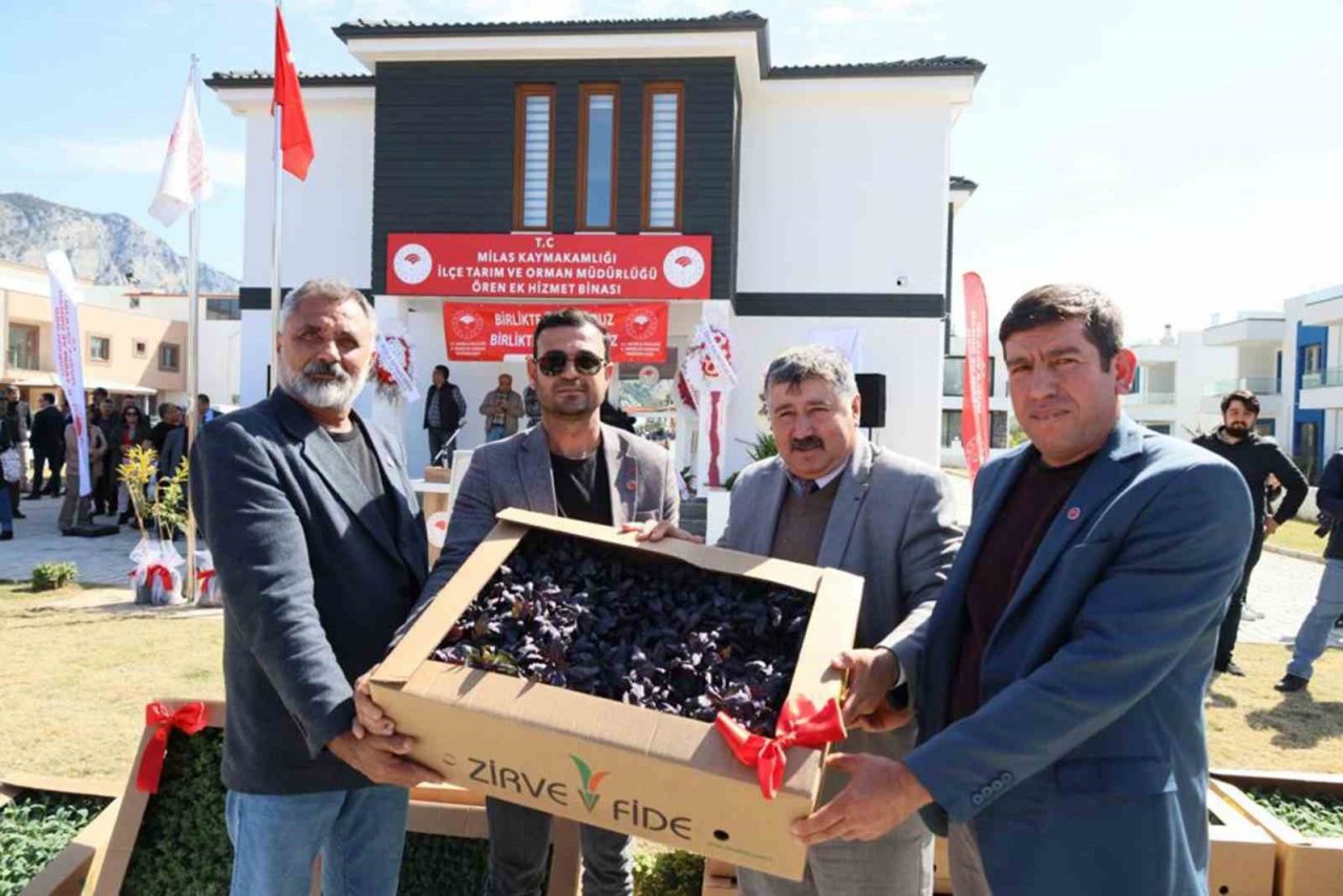 Ören’de üreticilere 100 bin ıtri bitki dağıtıldı