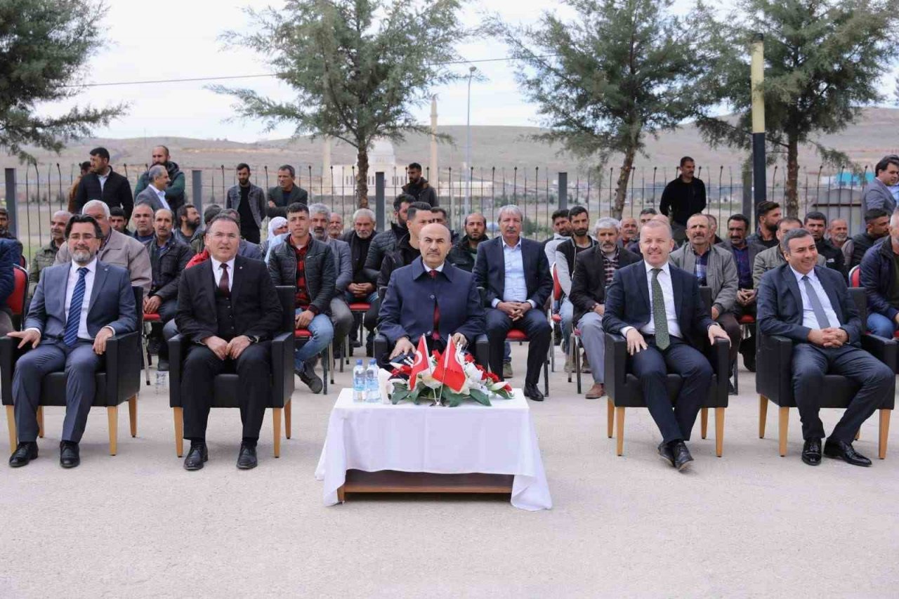 Mardin’de yüzde 50 hibe ile çiftçilere 3 bin ton yem dağıtıldı