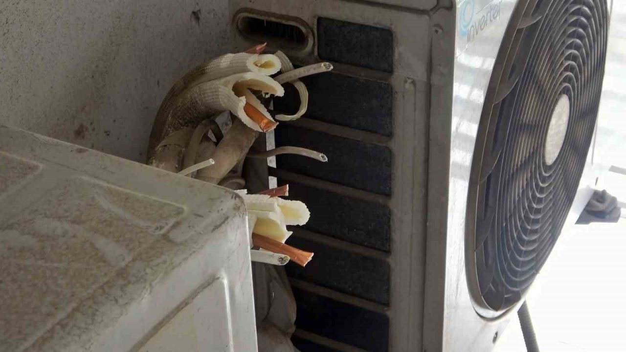 Apartmanın WhatsApp grubu, hırsızın 2 saatlik planını alt üst etti